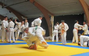 51ea43ee7a326_IMG0469.JPG