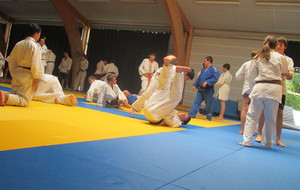 51ea440cb6855_IMG0471.JPG
