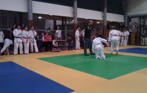 Adèle fin du combat