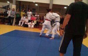 Au tours de Ianca de se lancer dans l'arène