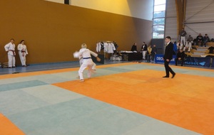 Allez Cathy