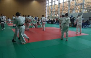5bced96e92cd3_photo.jpg