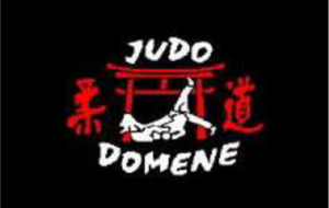 Open Régional Sénior de Domène