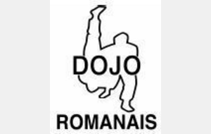 Tournoi Coupe des Rois - Romans sur Isère - Cadets