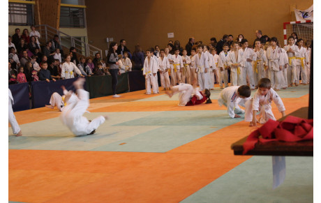 Challenge Intermarché du JCD